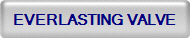 Button with text 'Everlasting Valve' on it.